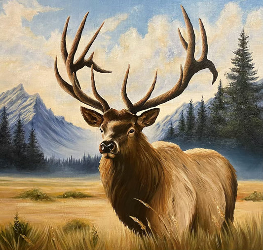 Alpine Elk