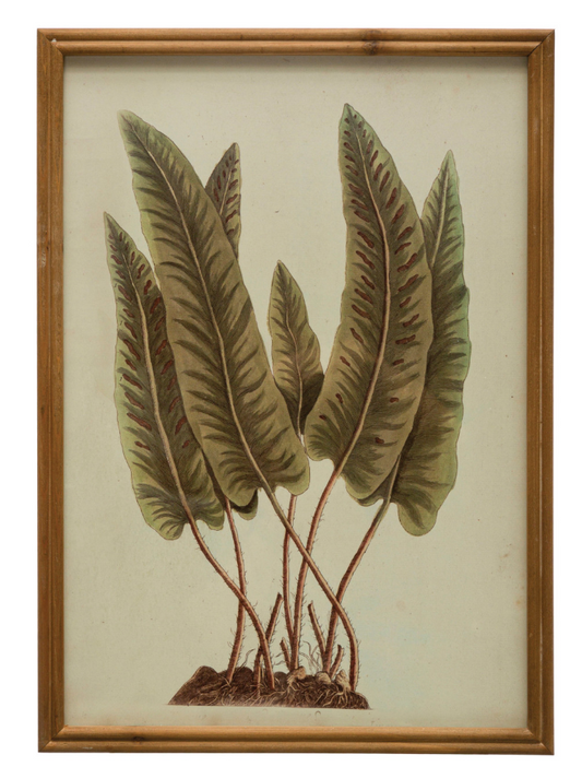 Ravenna Botanical Fern Framed Print
