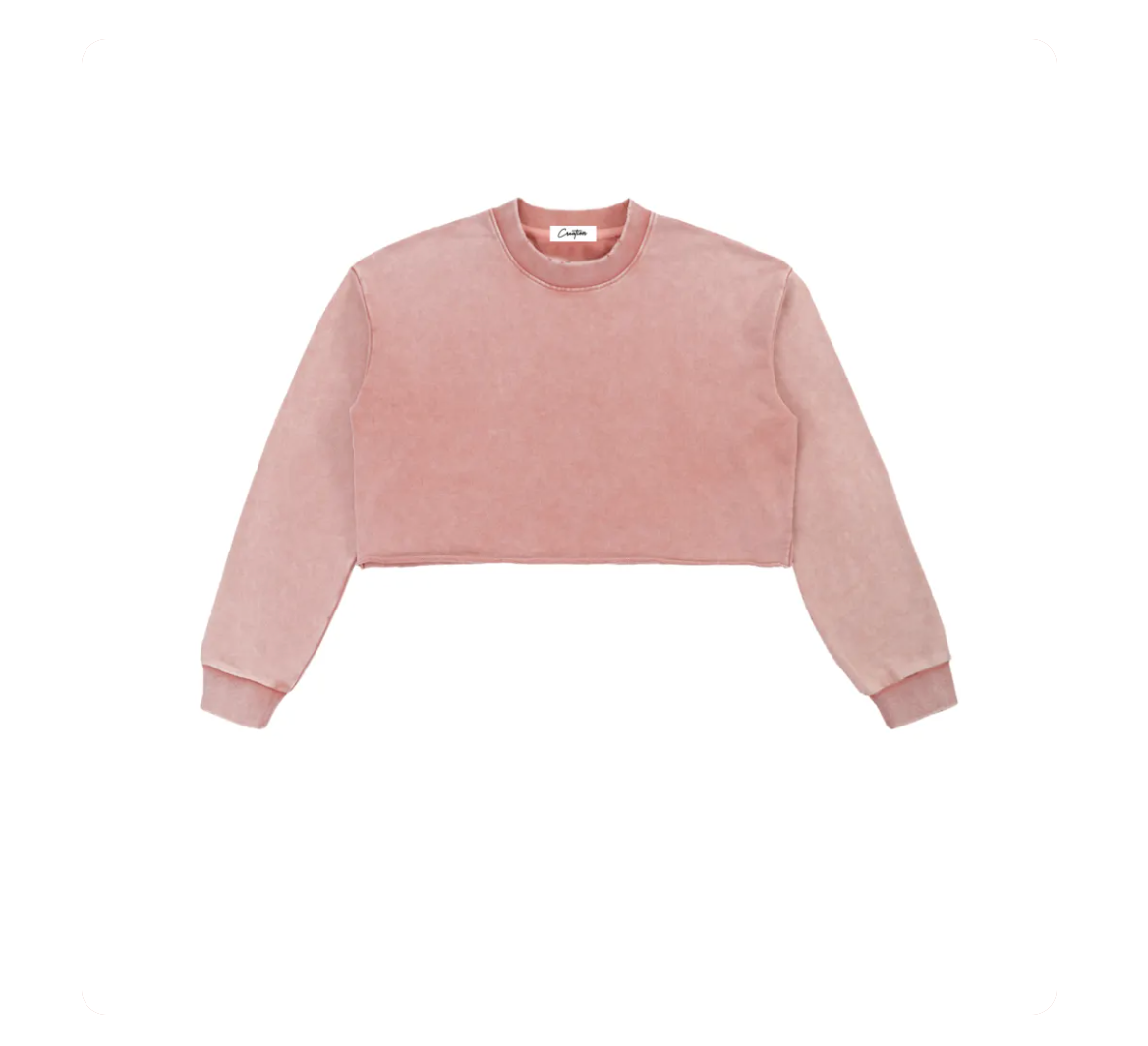 Snow Washed Raw Edge Cropped Sweatshirt